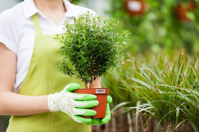 Étiquetage horticole